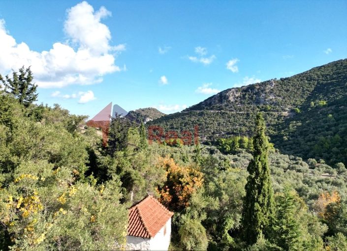 Image No.12-Propriété à vendre à Chora