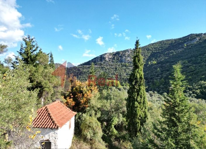 Image No.13-Propriété à vendre à Chora