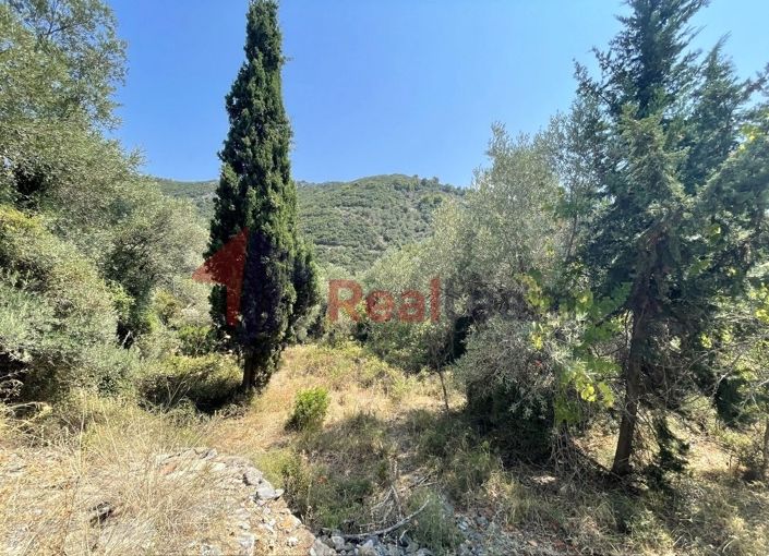 Image No.16-Propriété à vendre à Chora