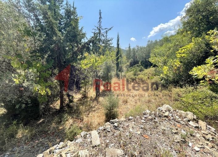 Image No.17-Propriété à vendre à Chora