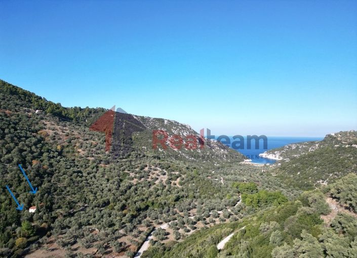 Image No.2-Propriété à vendre à Chora