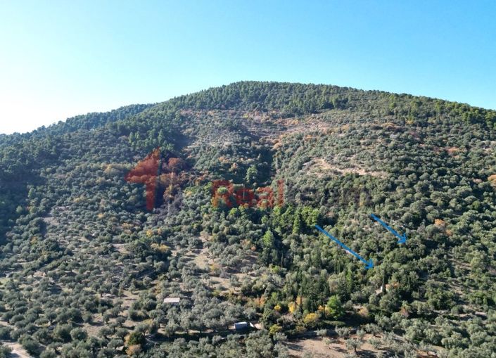 Image No.3-Propriété à vendre à Chora