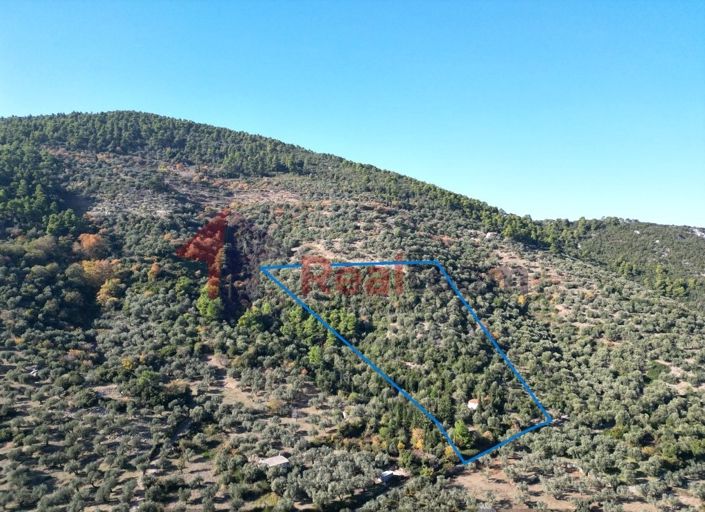 Image No.4-Propriété à vendre à Chora