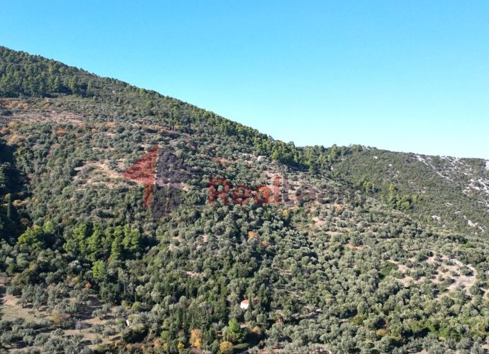 Image No.5-Propriété à vendre à Chora