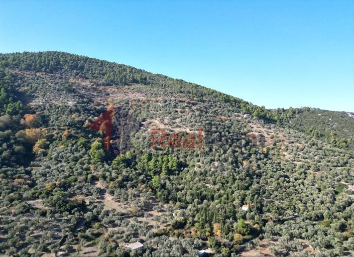 Image No.6-Propriété à vendre à Chora