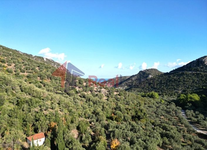 Image No.7-Propriété à vendre à Chora