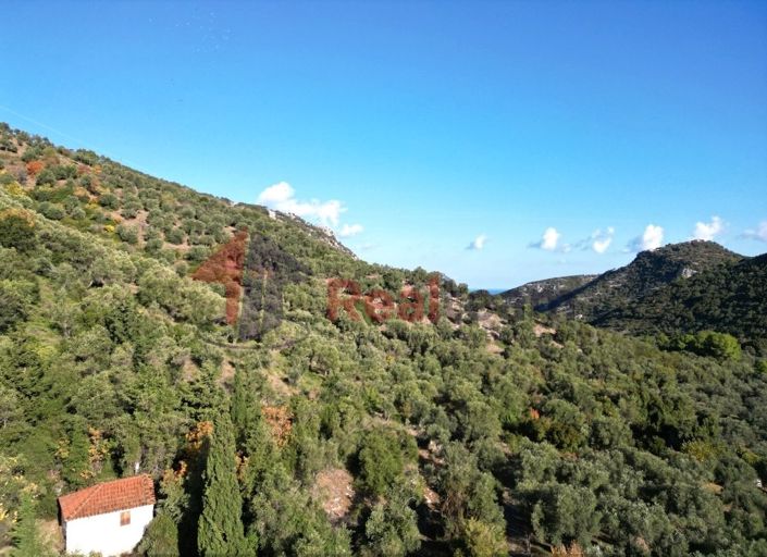 Image No.8-Propriété à vendre à Chora