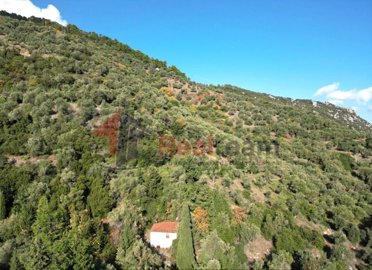 imgd3bd5f93-9e27-4881-8be8-3a9d57042745