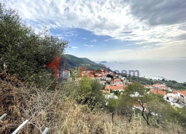 imgb45de19a-de5d-4c3e-baf3-73ef6beaa162