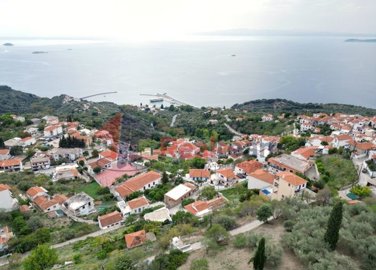 img14bfb321-2b8f-49b3-824b-5cf1e6d38313