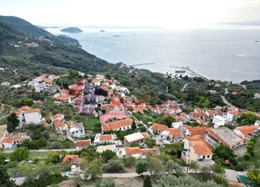 img248aa040-3137-4118-a98c-e213b94743d6