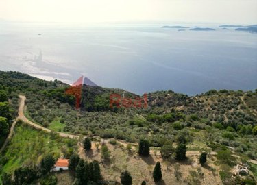 img88728c2f-1113-4906-bbe1-8b0b0aa0624f