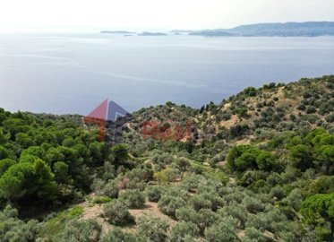 img9a9c3076-3cfb-41bd-a6e9-793e63a31092