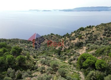 imgcd4a9b49-84e2-4de0-909f-af2c78f9d7e4