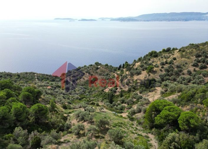 Image No.15-Propriété à vendre à Glossa