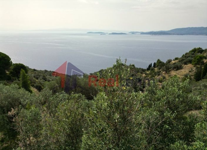 Image No.16-Propriété à vendre à Glossa