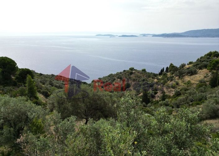 Image No.17-Propriété à vendre à Glossa