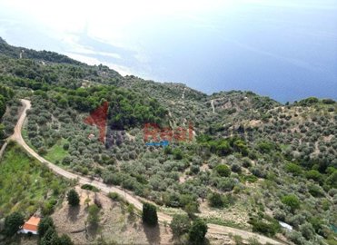 imge09e76c1-d809-47b4-8fda-3bdf507cbefc