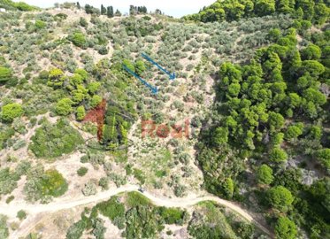 img8388dde2-c7a7-4337-b149-e643131b1760