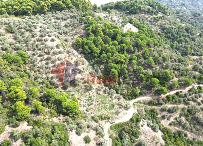 Image No.6-Propriété à vendre à Glossa