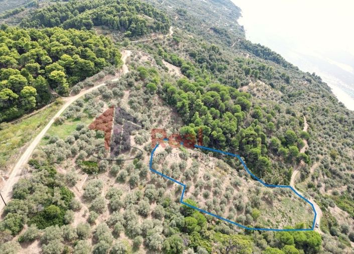 Image No.7-Propriété à vendre à Glossa