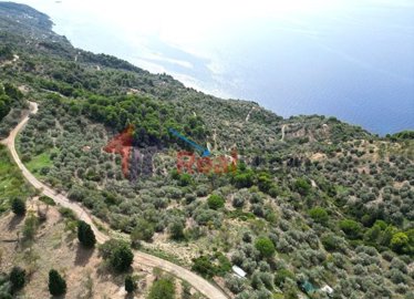 imgbebd2c61-e608-4644-a137-f67e47fa1a6f