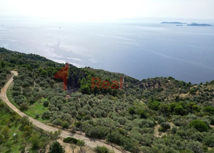 Image No.9-Propriété à vendre à Glossa