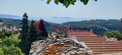 img950bc7ae-e5c0-465c-b531-342f17a2e502