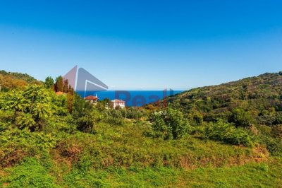 img68537fca-e3e6-4e58-8027-29df2874e6d2