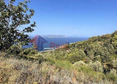 img15600265-f00f-4cf5-9078-37cfc52b094d