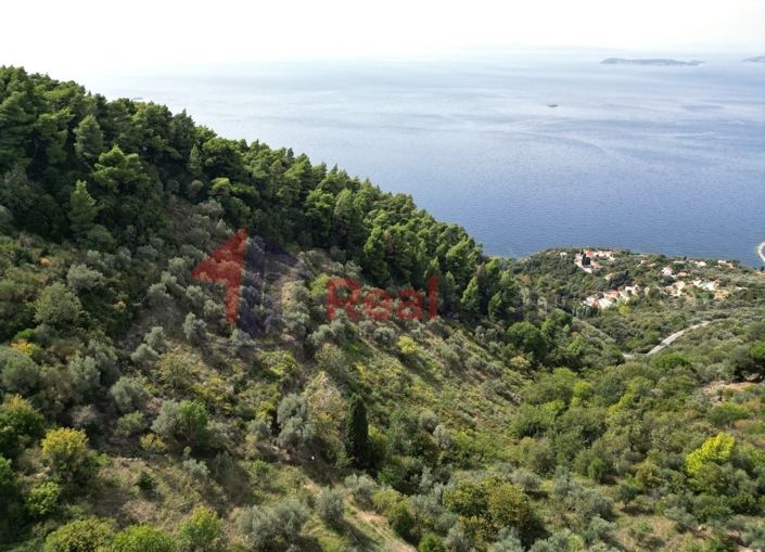 Image No.10-Propriété à vendre à Glossa