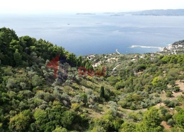 imgd39848d4-6036-446a-98e2-5650ed58480f