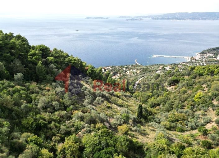 Image No.12-Propriété à vendre à Glossa