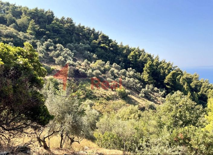 Image No.14-Propriété à vendre à Glossa