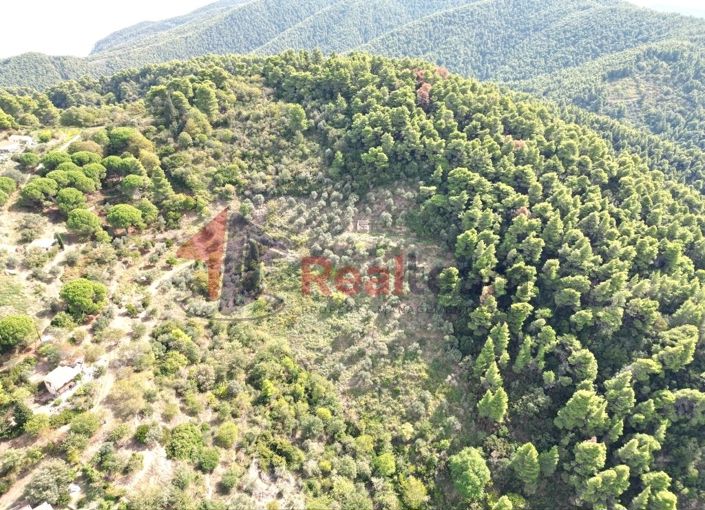 Image No.15-Propriété à vendre à Glossa