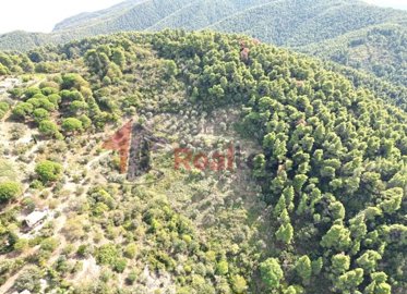 img536c7951-f104-4974-82d6-3dc2ccef751c