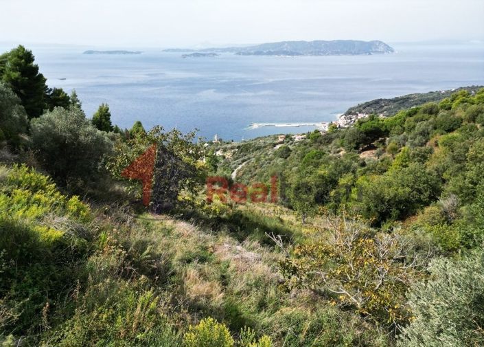 Image No.16-Propriété à vendre à Glossa