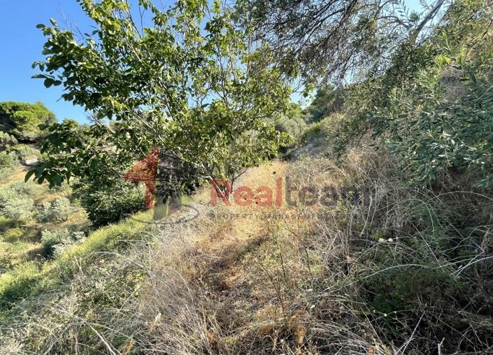 Image No.19-Propriété à vendre à Glossa