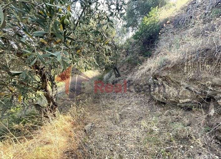 Image No.20-Propriété à vendre à Glossa