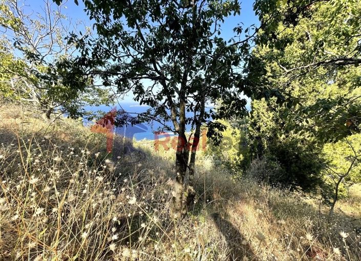 Image No.21-Propriété à vendre à Glossa