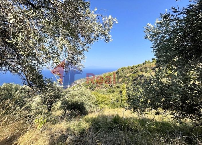 Image No.3-Propriété à vendre à Glossa