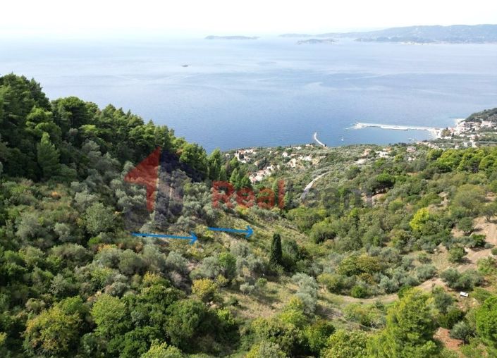 Image No.4-Propriété à vendre à Glossa