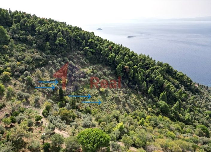 Image No.5-Propriété à vendre à Glossa