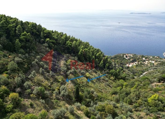 Image No.6-Propriété à vendre à Glossa