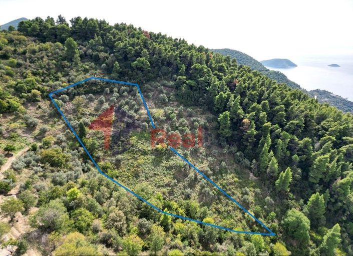 Image No.7-Propriété à vendre à Glossa