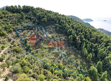 img6779ab51-9b12-4bac-bea6-00bd243af36c