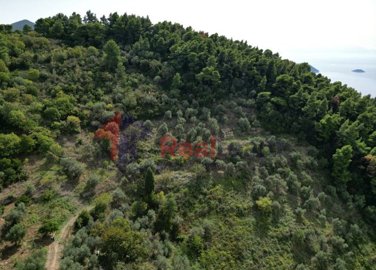 img73ab2841-e0ae-4d0f-82be-bfef16d88e0b