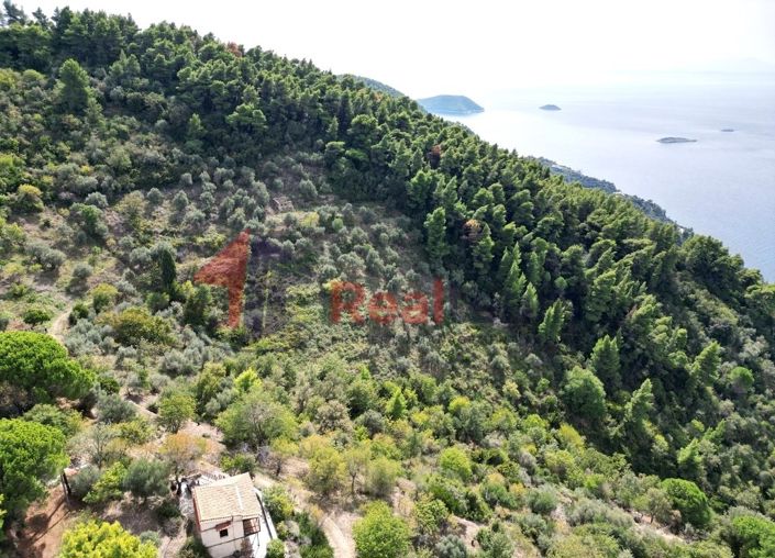 Image No.9-Propriété à vendre à Glossa