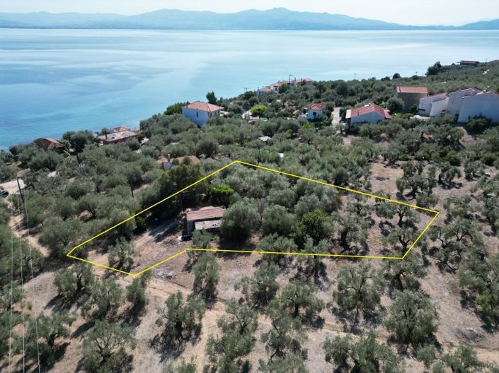 Image No.10-1 Bed Property for sale