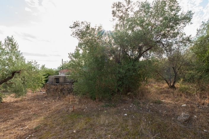 Image No.21-1 Bed Property for sale